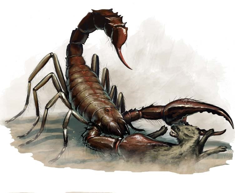 scorpion