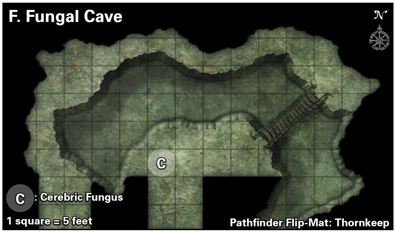 thornkeep