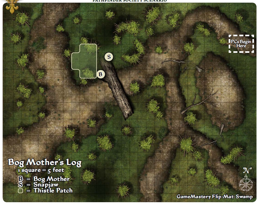 bog-mother-log
